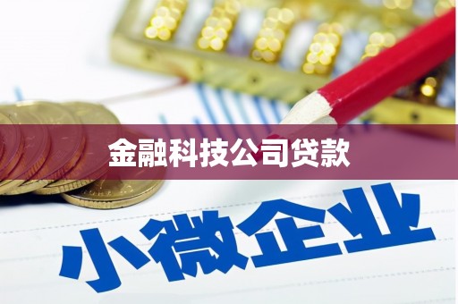 云梦金融科技公司贷款