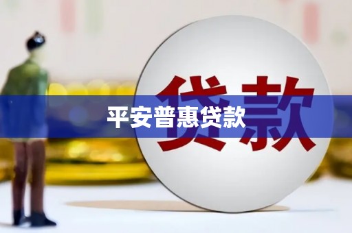 云梦平安普惠贷款