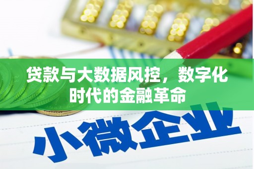 云梦贷款与大数据风控，数字化时代的金融革命