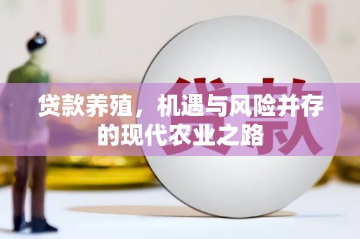 云梦贷款养殖，机遇与风险并存的现代农业之路