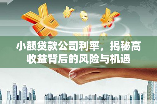云梦小额贷款公司利率，揭秘高收益背后的风险与机遇