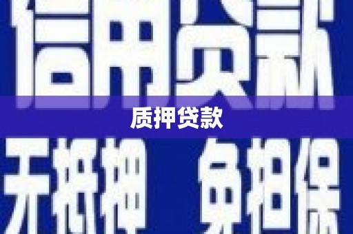 云梦质押贷款