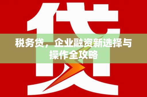 云梦税务贷，企业融资新选择与操作全攻略