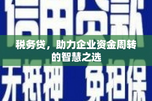 云梦税务贷，助力企业资金周转的智慧之选