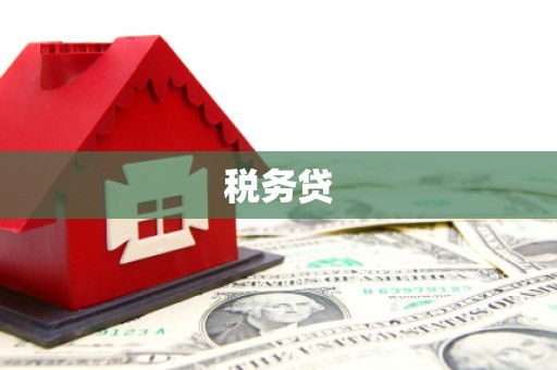 云梦税务贷