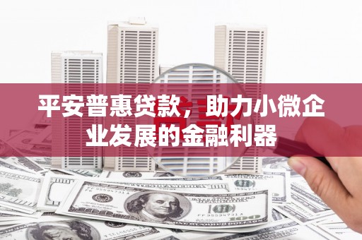 云梦平安普惠贷款，助力小微企业发展的金融利器