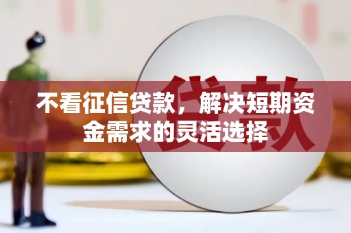 云梦不看征信贷款，解决短期资金需求的灵活选择