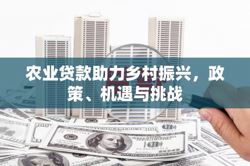 云梦农业贷款助力乡村振兴，政策、机遇与挑战