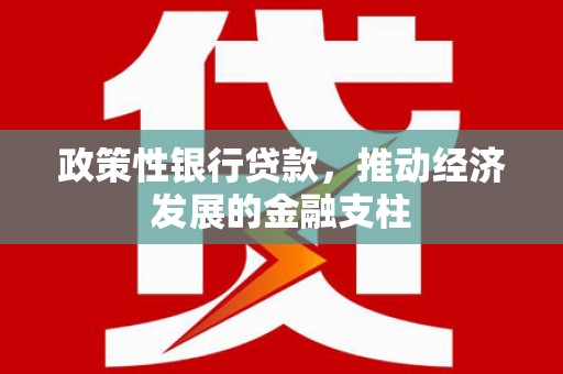 云梦政策性银行贷款，推动经济发展的金融支柱