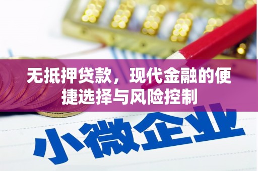 云梦无抵押贷款，现代金融的便捷选择与风险控制