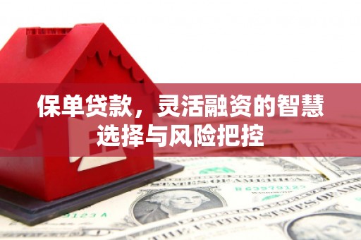 云梦保单贷款，灵活融资的智慧选择与风险把控