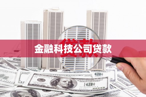 云梦金融科技公司贷款