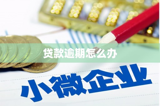 云梦贷款逾期怎么办