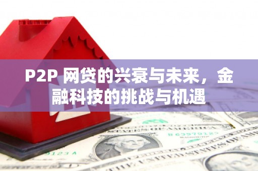 云梦P2P 网贷的兴衰与未来，金融科技的挑战与机遇