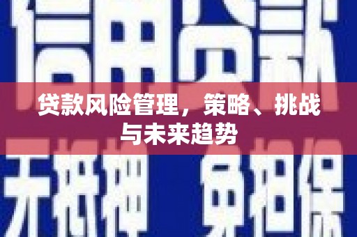 云梦贷款风险管理，策略、挑战与未来趋势