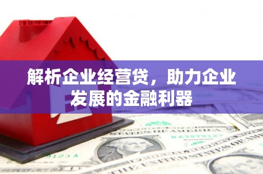 云梦解析企业经营贷，助力企业发展的金融利器