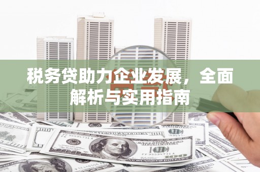 云梦税务贷助力企业发展，全面解析与实用指南