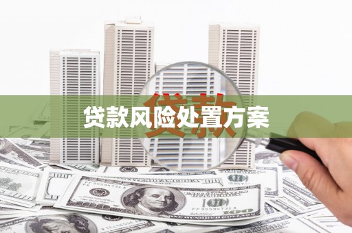 云梦贷款风险处置方案