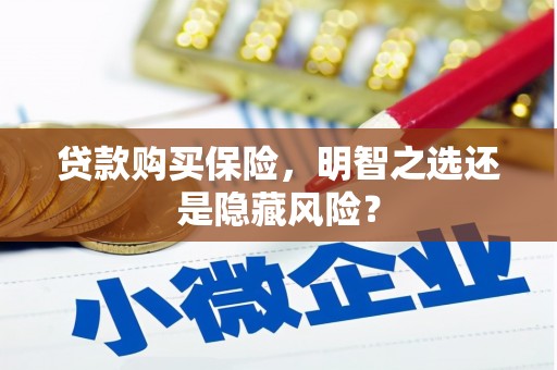 云梦贷款购买保险，明智之选还是隐藏风险？