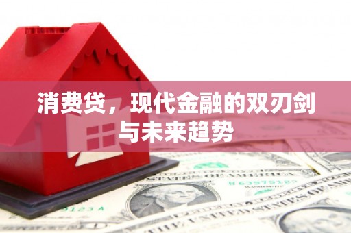 云梦消费贷，现代金融的双刃剑与未来趋势
