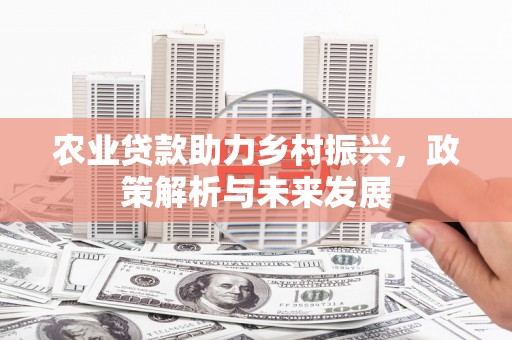 云梦农业贷款助力乡村振兴，政策解析与未来发展