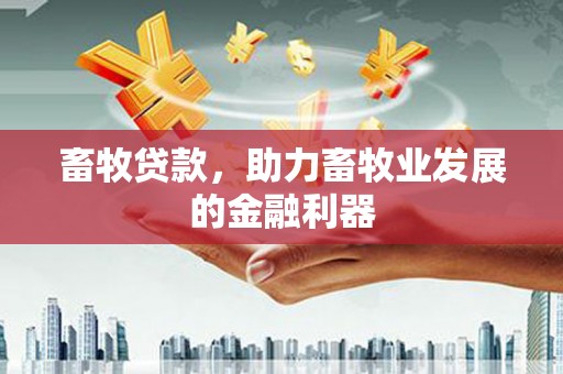 云梦畜牧贷款，助力畜牧业发展的金融利器