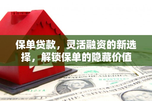 云梦保单贷款，灵活融资的新选择，解锁保单的隐藏价值