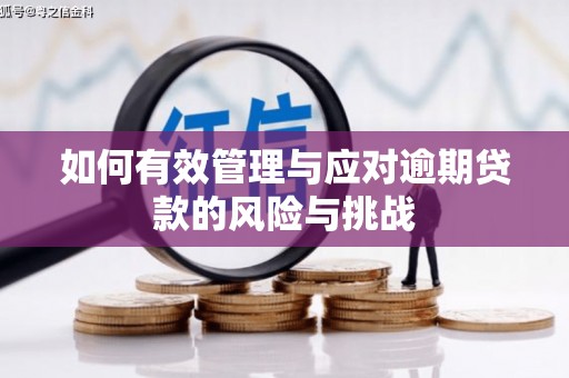 云梦如何有效管理与应对逾期贷款的风险与挑战