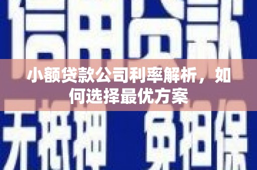 云梦小额贷款公司利率解析，如何选择最优方案