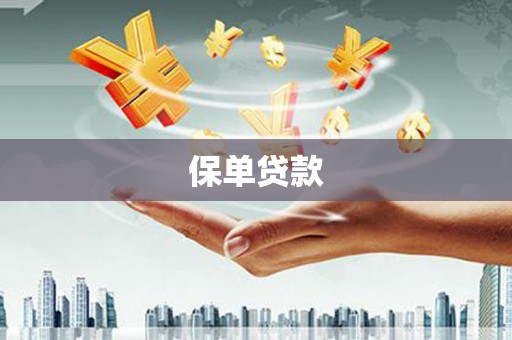 云梦保单贷款