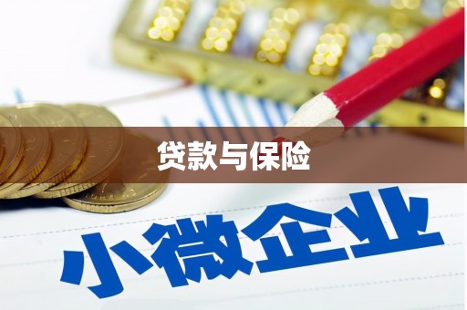云梦贷款与保险
