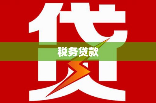 云梦税务贷款