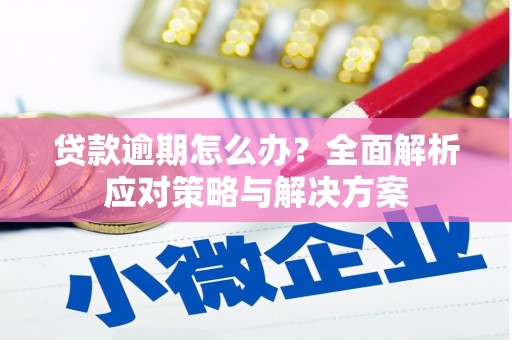 云梦贷款逾期怎么办？全面解析应对策略与解决方案