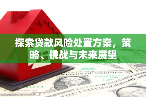云梦探索贷款风险处置方案，策略、挑战与未来展望