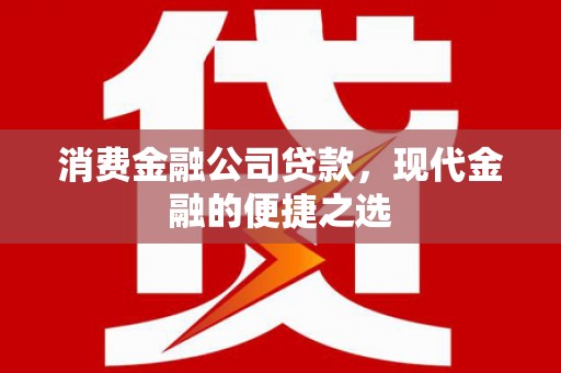 云梦消费金融公司贷款，现代金融的便捷之选