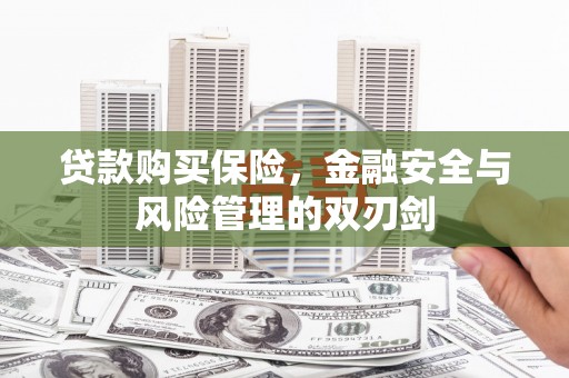 云梦贷款购买保险，金融安全与风险管理的双刃剑