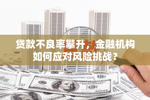 云梦贷款不良率攀升，金融机构如何应对风险挑战？