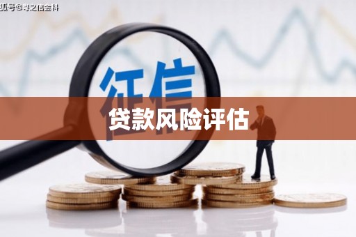 云梦贷款风险评估