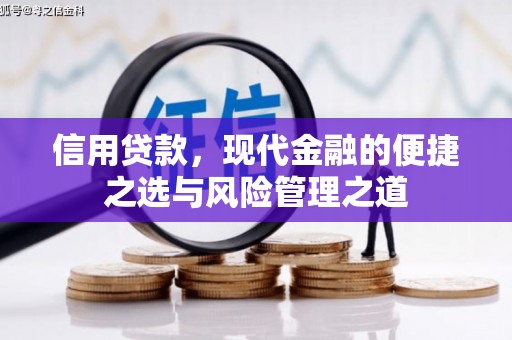 云梦信用贷款，现代金融的便捷之选与风险管理之道