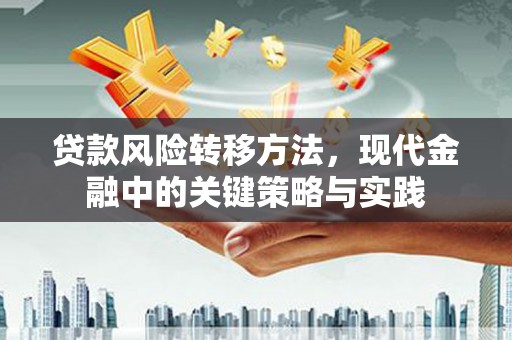 云梦贷款风险转移方法，现代金融中的关键策略与实践
