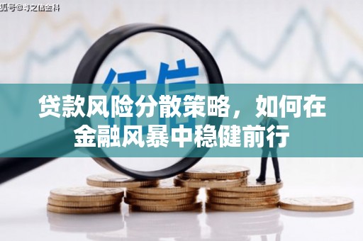 云梦贷款风险分散策略，如何在金融风暴中稳健前行