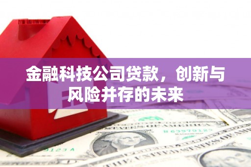 云梦金融科技公司贷款，创新与风险并存的未来