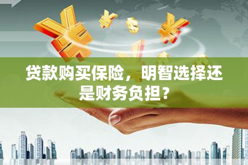 云梦贷款购买保险，明智选择还是财务负担？