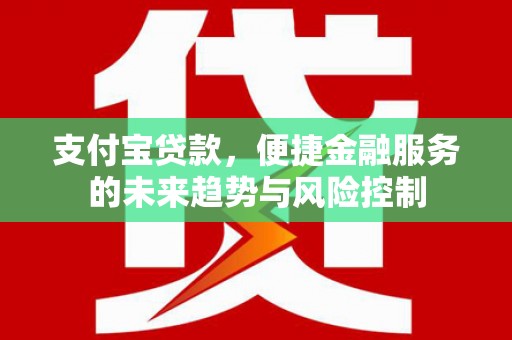 云梦支付宝贷款，便捷金融服务的未来趋势与风险控制