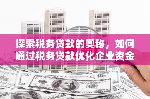 云梦探索税务贷款的奥秘，如何通过税务贷款优化企业资金流