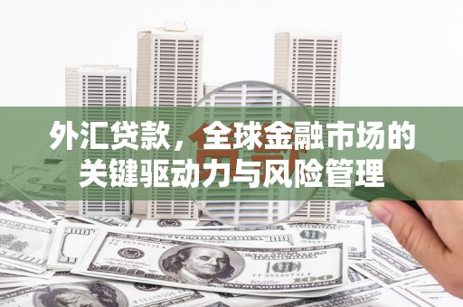 云梦外汇贷款，全球金融市场的关键驱动力与风险管理