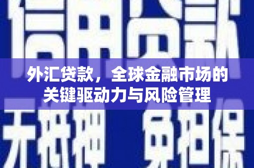 云梦外汇贷款，全球金融市场的关键驱动力与风险管理