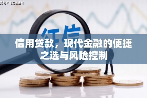 云梦信用贷款，现代金融的便捷之选与风险控制