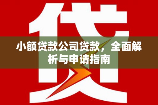 云梦小额贷款公司贷款，全面解析与申请指南