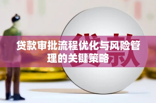 云梦贷款审批流程优化与风险管理的关键策略